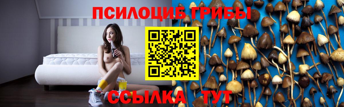 Псилоцибиновые грибы мицелий  Псилоцибиновые грибы Cubensis  Вход с VPN  Полевской 